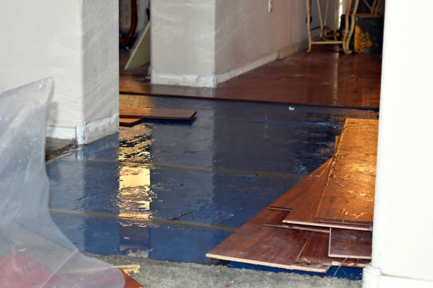 Professional Burst Pipe Cleanup technician working in Decherd, TN